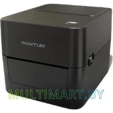Термопринтер Pantum DT PT-D160N